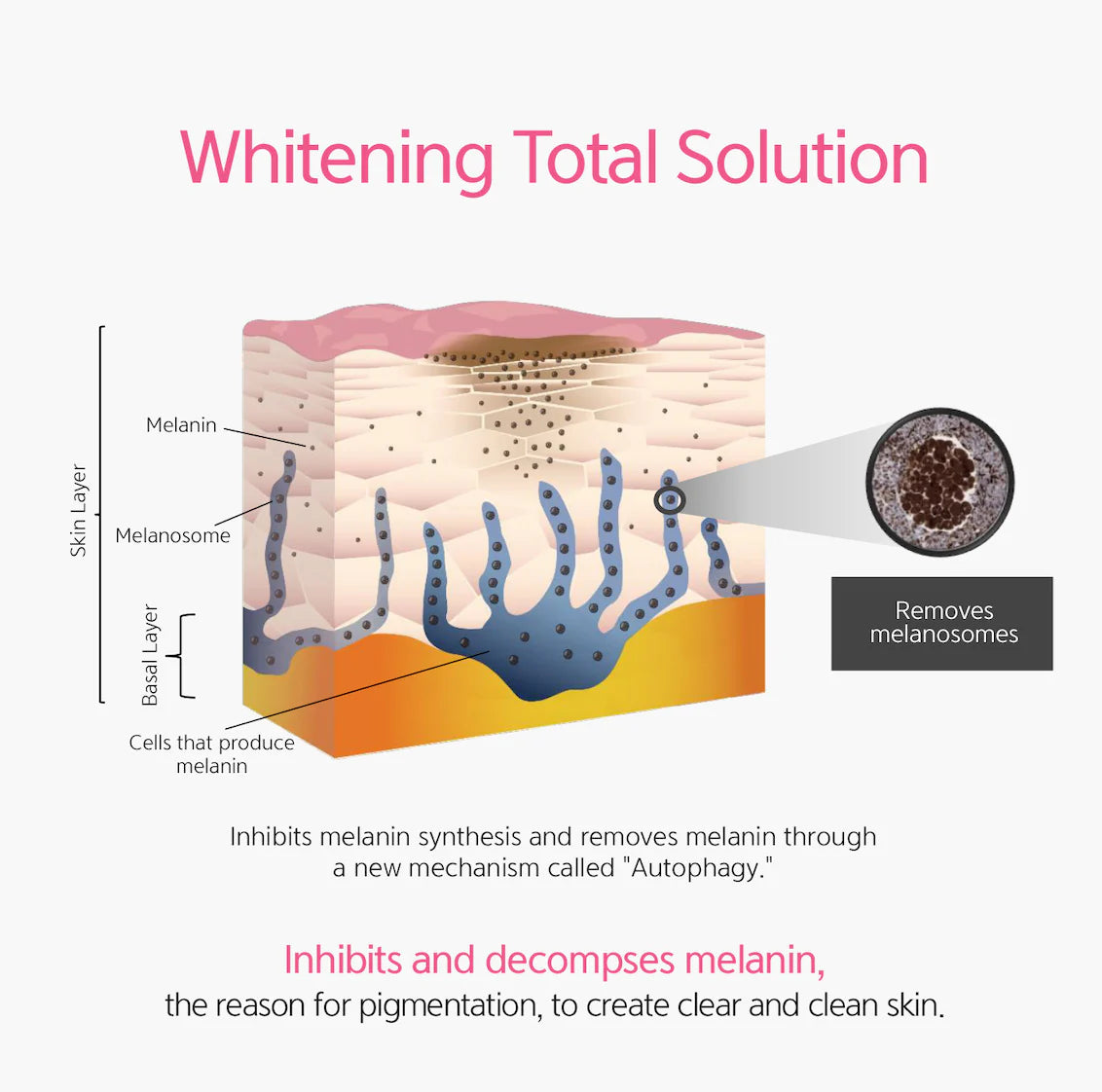 DR. ESTHE

Anti-Mela Toning Serum - Halo Glow 1.1oz